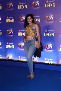 Celebrities snapped at the pre-function of the opening show of 'Life of Pi'
