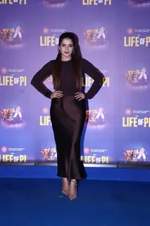 Celebrities snapped at the pre-function of the opening show of 'Life of Pi'