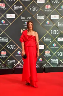 Neha Dhupia grace the Critics Choice Awards 2025