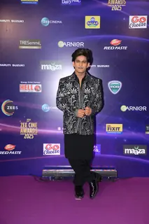 Celebrities graces the Zee Cine awards 2025