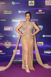 Celebrities grace the Zee Cine awards 2025