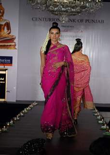 Models show Shobhaa De sarees for Samsaara