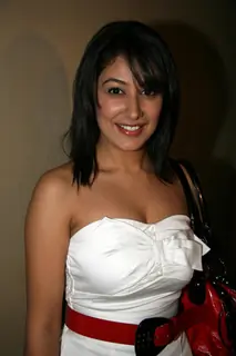 Geeta Basra at Denis Saralka''s bash at D Ultimate