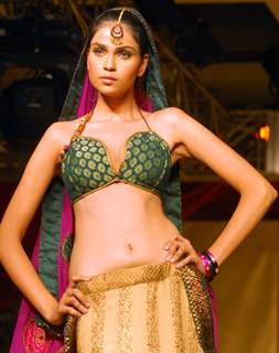 Model at Marriage ''N'' Vogue the Thursday night fashion show that kick-started The Telegraph Weddings to be held at ITC The Sonar Calcutta from Friday