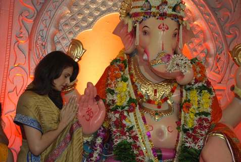 Monica Bedi at Andheri Ka Raja Ganpati