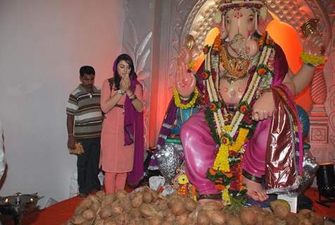 Hansika Motwani at Andheri Ka Raja Ganpati at Andheri, in Mumbai