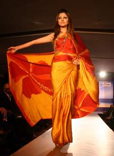 A Sri Lankan model presenting creation by Sri Lankan designer Darshi Keertisena during the Sri Lankan fashion show in New Delhi on 15 Sept Tuesday night 2009