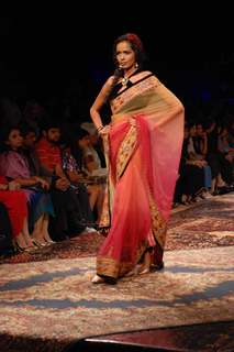 A model walks the runway at Tarun Tahiliani show at the Lakme Fashion Week Spring/Summer 2010 Day 5, in Mumbai