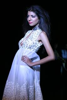 A model showcasing designer Reena Dhaka''s creation at the Wills Lifestyle India Fashion week in New Delhi on Sunday