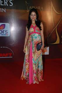 Vidya Malvade on Apsara Awards at Grand Hyatt (IANS: Photo)