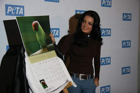 Bollywood actress Celina Jaitley unveils the annual PETA Calendar at Bandra, Mumbai