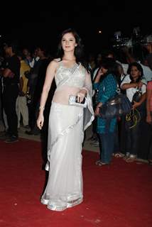 Urvashi Sharma at Star Screen Awards red carpet