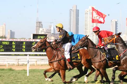 Bollywood actor Salman Khan rides a horse at Hello Million race in Mumbai