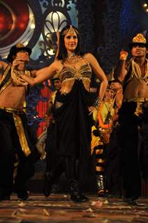 Katrina Kaif performs at Stardust Awards 2010 in Mumbai