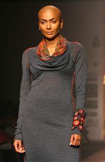 A Model showcasing designer Payal Jain''s creation at the Wills Lifestyle India Fashion Week 2010, in New Delhi on Friday