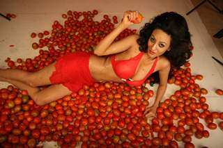 Brand Ambassador of Spanish Tomatina Festival model Vedita Pratap Singh plays with tomatoes and has fun in Mumbai