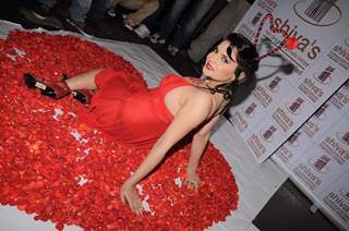 Madhavi Sharma valentine photo shoot in Shivas Studio on 7th Feb 2012. .