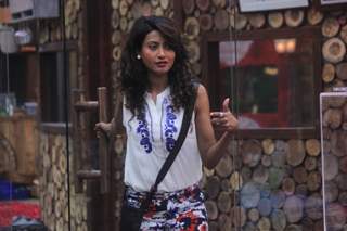 Bigg Boss 8