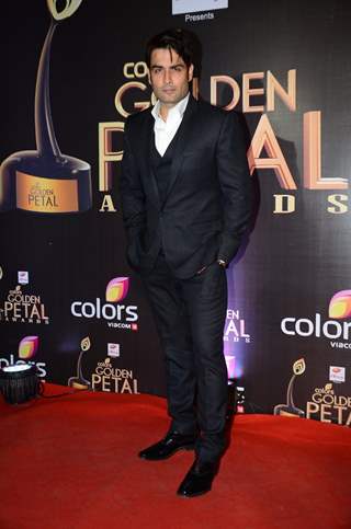 Vivian  Dsena at Golden Petal Awards 2016