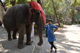 Neel Sethi snapped with an elephant at his International Tour for his upcoming movie The Jungle Book
