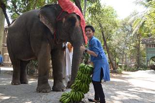 Neel Sethi poses with an elephant at his International Tour for The Jungle Book