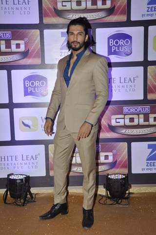 Manish Raisinghan at Zee Gold Awards 2016