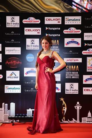 Sayesha Saigal at SIIMA Awards 2016