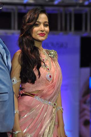Preetika Rao at The Ssja Silver Nite Fashion Show