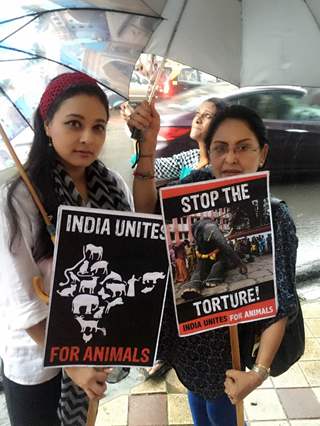 Sharbani Mukherjee come out to support India Unites for Animals