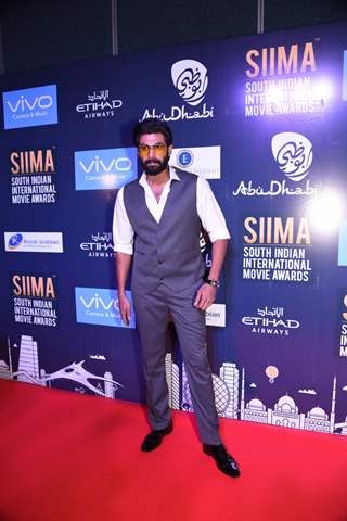 Rana Daggubati at 'SIIMA AWARDS'