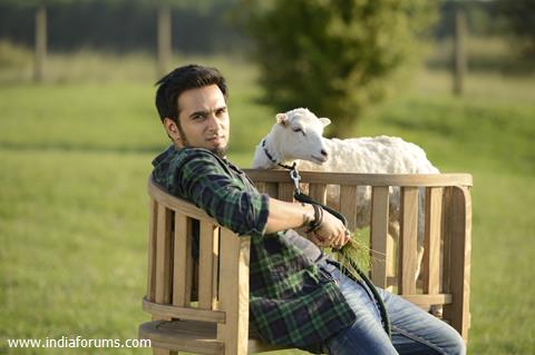 Pulkit Samrat in Bangistan