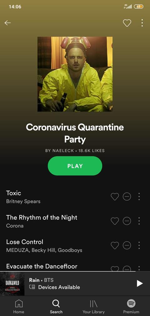 Coronavirus Quarantine Party