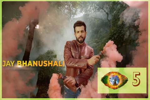 5. Jay Bhanushali