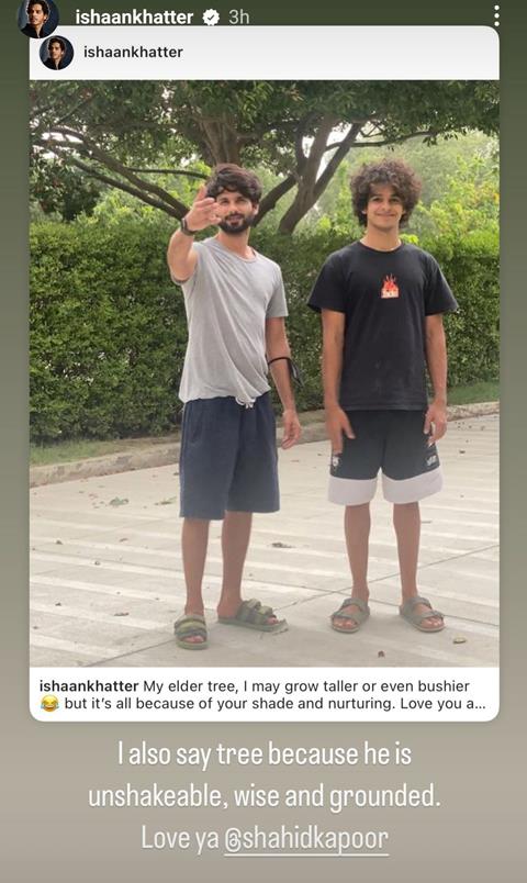 Ishaan Khatter's Instagram story 