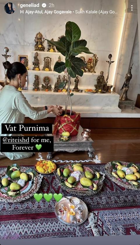 Genelia D'Souza's Instagram story 