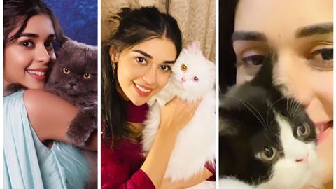 Eisha Singh and her cats Simba, Ginni and Gucci