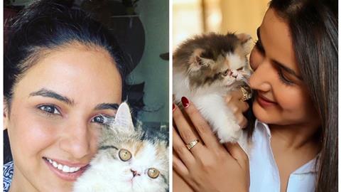 Jasmin Bhasin and her cats Mia and Kylie