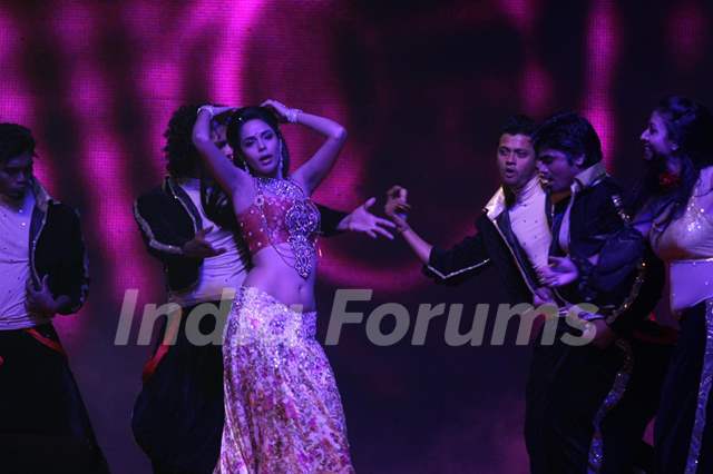 Mallika Sherawat performing at New Year's Eve event at Hotel Tulip Star ...