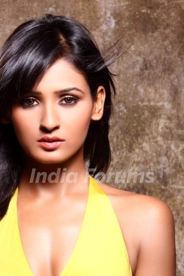 Shakti Mohan Dance Calendar 2012