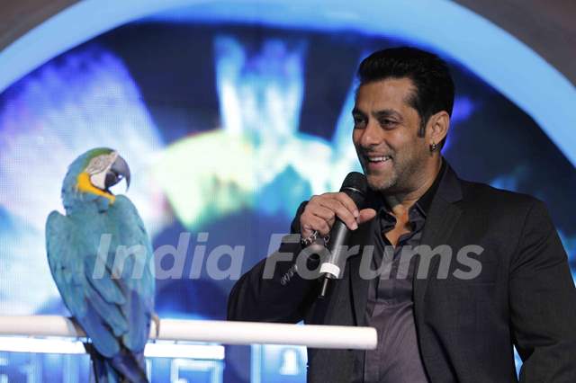 Bigg Boss Season 6 Salman Khan at Triden