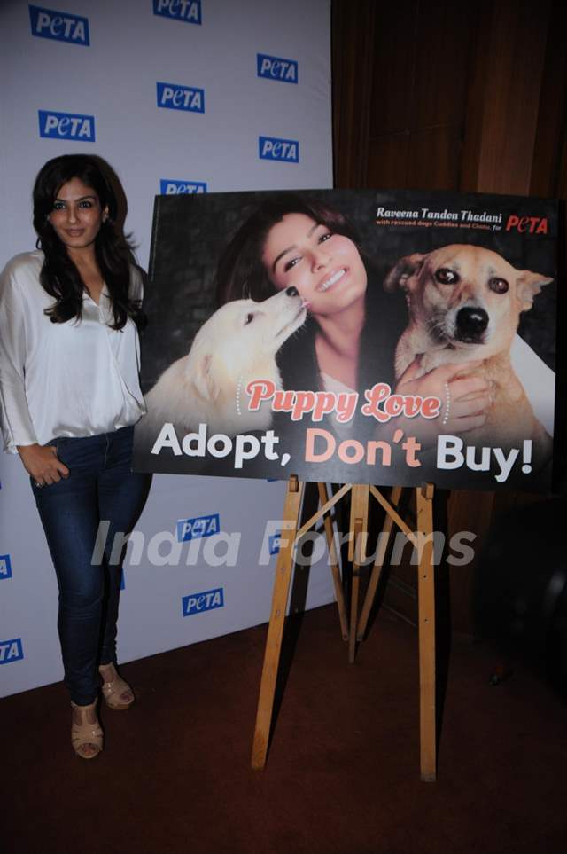 Raveena Tandon at Peta's Press Conference