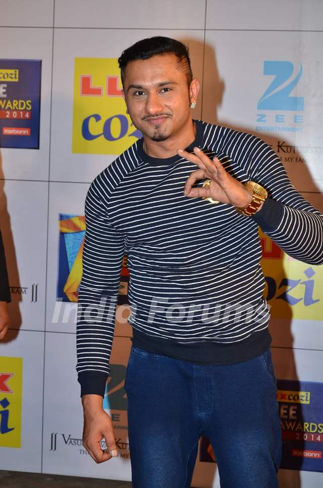 Zee Cine Awards 2014