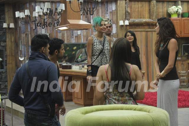 Bigg Boss 8 Contestants Media