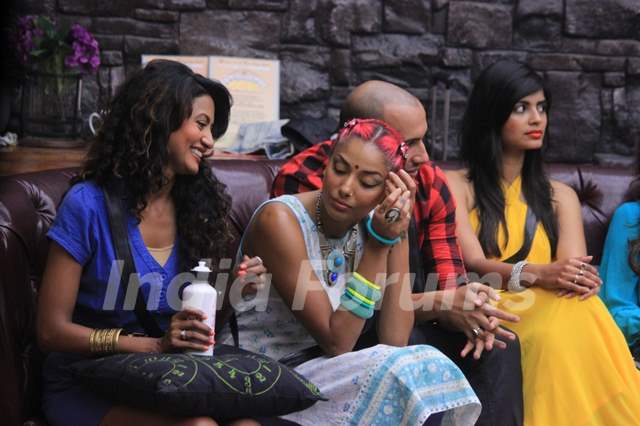 Contestants In Bigg Boss 8 Photo