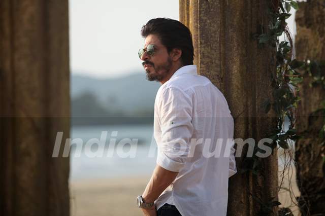 A Still of Shah Rukh Khan in Dilwale