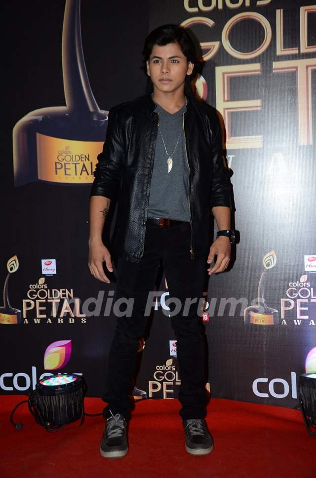 Siddharth Nigam at Golden Petal Awards 2016 Media