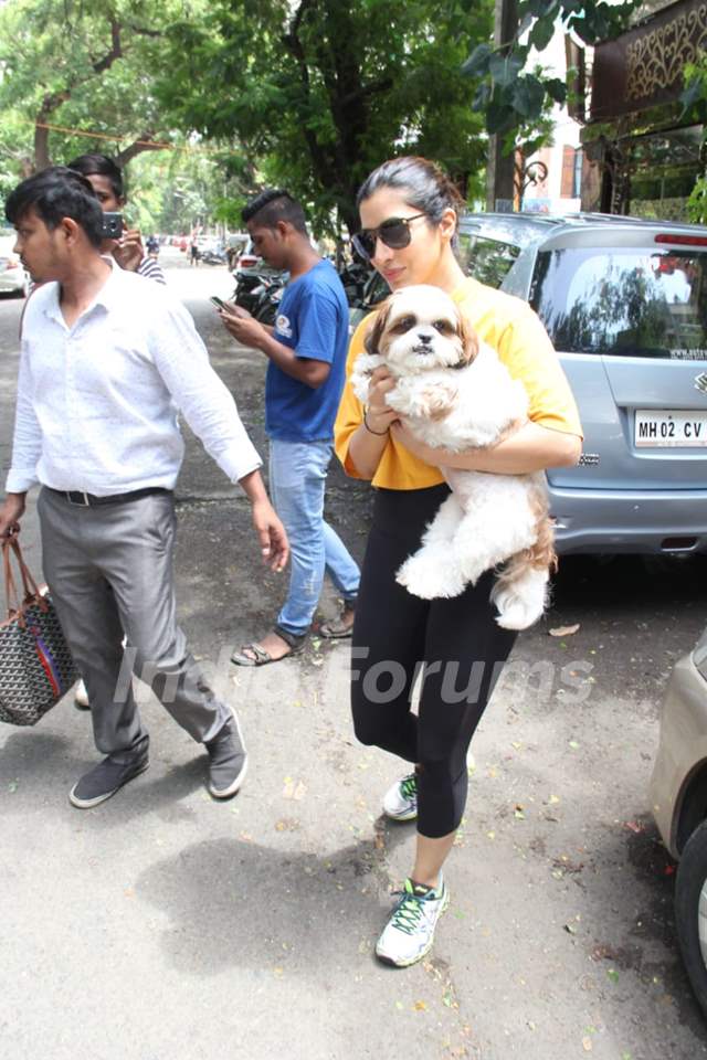 Bollywood celebrities get snapped by paparazzi around the town!