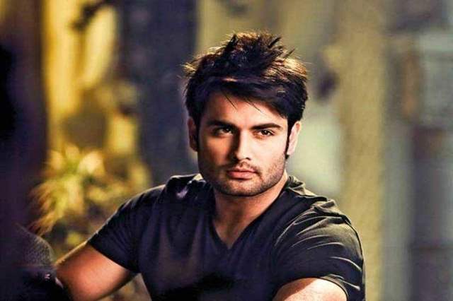 Vivian Dsena