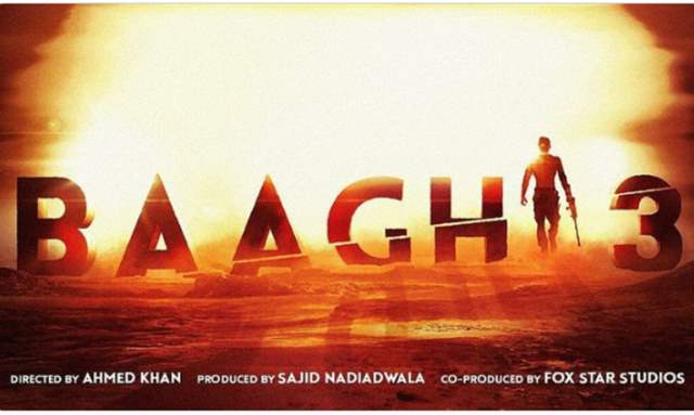 Baaghi 3