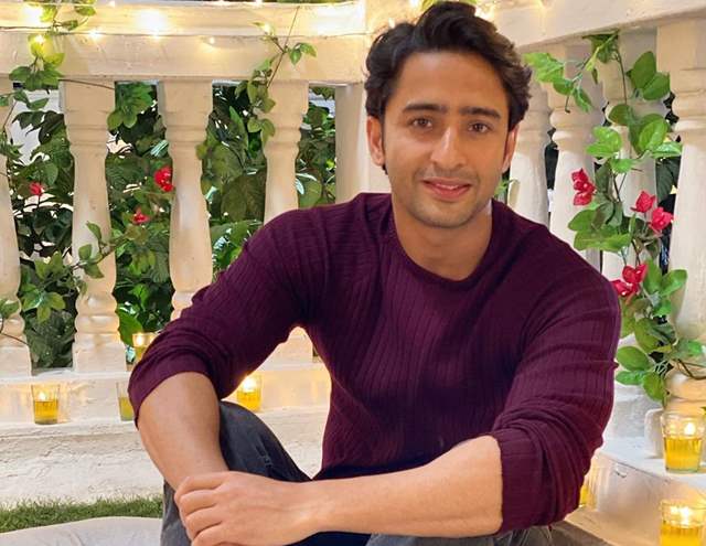 Shaheer Sheikh 